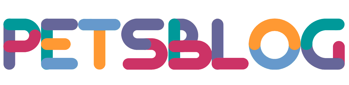 Ccxinan Pets Ccxinan Pets